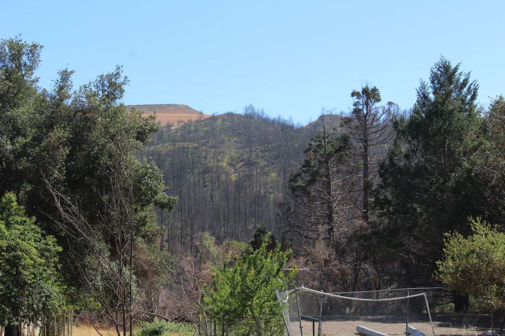 Tubbs Fire